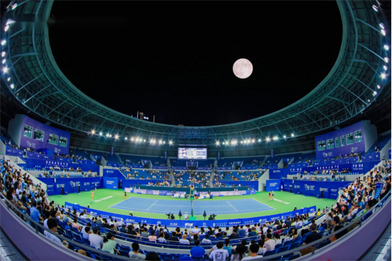 组织优势 组织优势