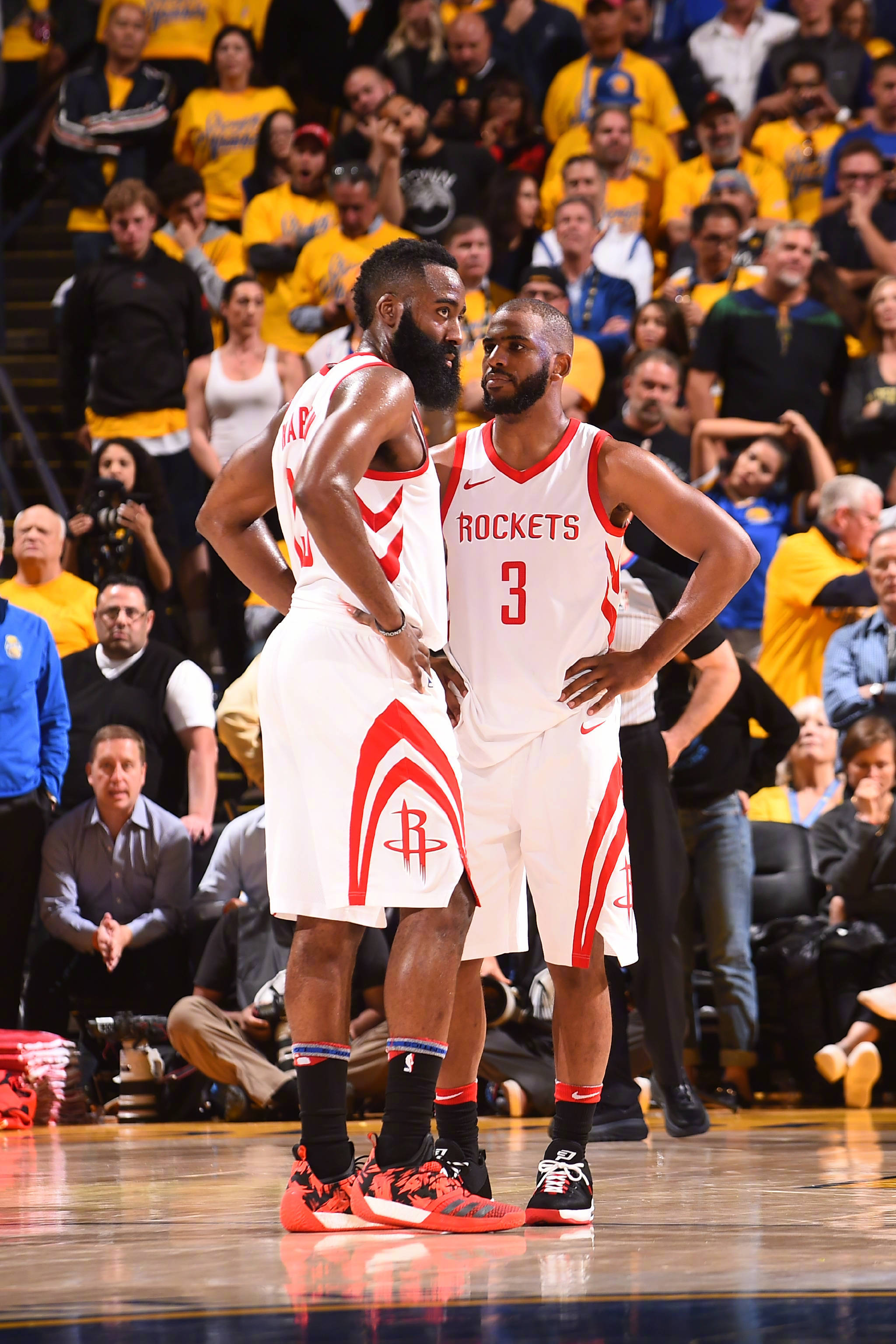 也为中国体 也为中国体